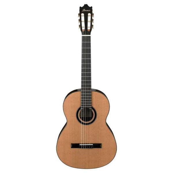 Guitarra Acustica Ibanez Ga15-Nt