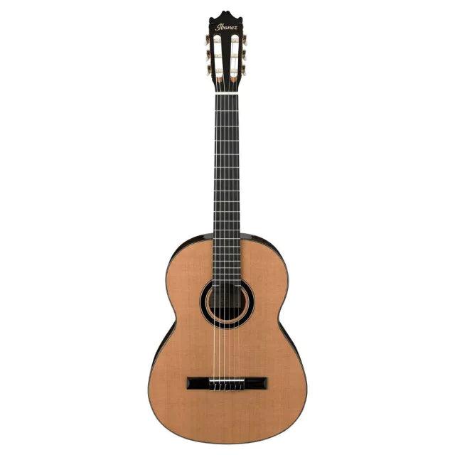 Guitarra Acustica Ibanez Ga15-Nt