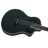Vista del producto — RTPSTD-SBK — 1048714