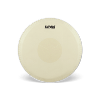 Parche Evans De Quinto 11.00 (Lp) Ec1100