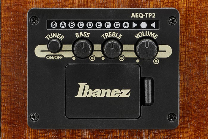 Guitarra Electroacustica Ibanez Aad50ce-lbs