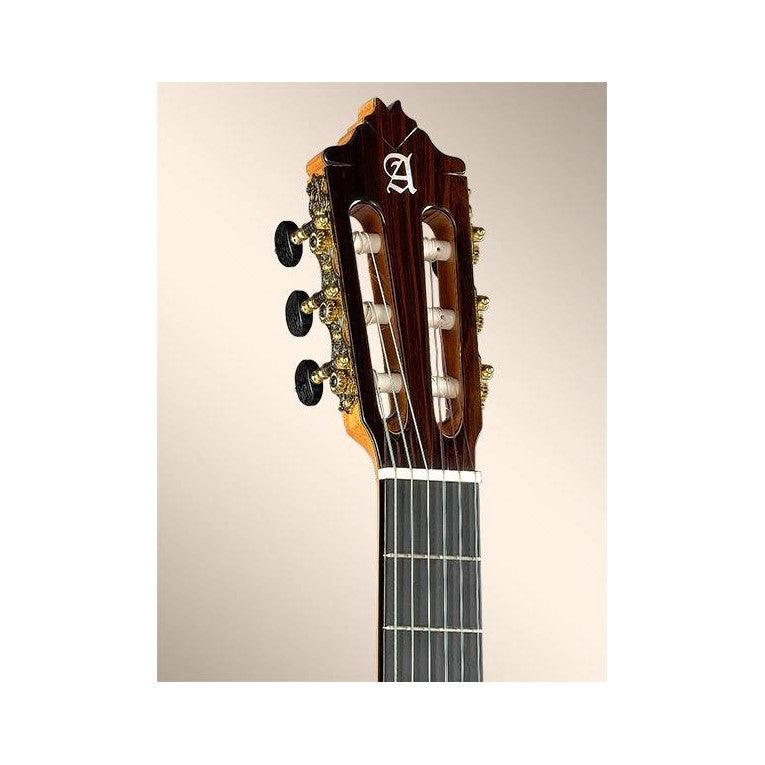 Guitarra Acustica Alhambra 9-P / Estuche Lsg-01 - The Music Site