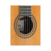 Guitarra Acustica Alhambra 9-P / Estuche Lsg-01 - The Music Site