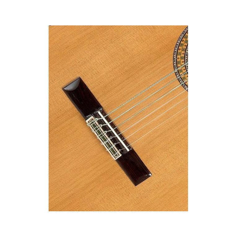 Guitarra Acustica Alhambra 9-P / Estuche Lsg-01 - The Music Site
