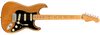 Guitarra Electrica Fender AM PRO II Stratocaster MN 0113902763 - The Music Site