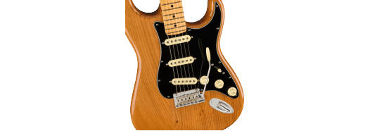 Guitarra Electrica Fender AM PRO II Stratocaster MN 0113902763 - The Music Site