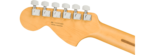 Guitarra Electrica Fender AM PRO II Telecaster DLX 0113962718 - The Music Site