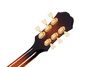 Guitarra Electro Acústica Epiphone EMTFITAGH1 Masterbilt Frontier - The Music Site