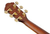 Guitarra Electro Acústica Ibanez AEWC12-PMF - The Music Site