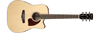 Guitarra Electro Acústica Ibanez PF16WCE-NT - The Music Site