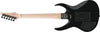 Guitarra Electrica Ibanez 540PIII-Bk