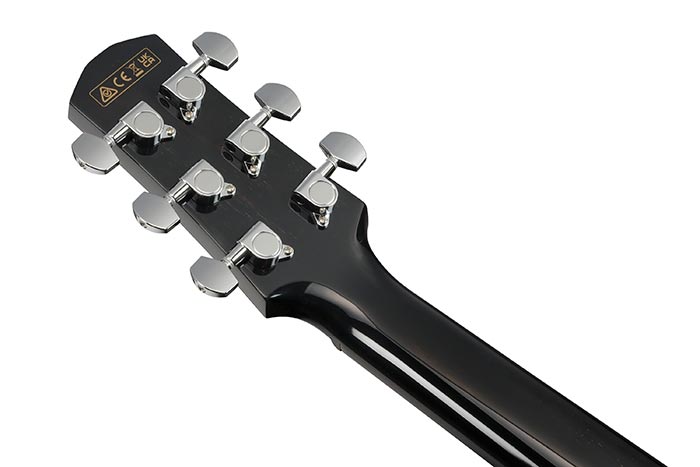 Guitarra Electroacustica Ibanez AAM340CE-RUB