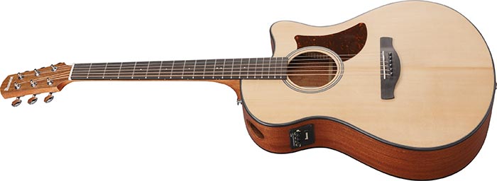 Guitarra Electroacústica Ibanez AAM50CE-OPN — vista 4
