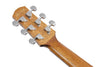 Guitarra Electroacustica Ibanez Aam70ce-tbn