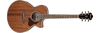 Guitarra electroacústica Ibanez AE245-NT Natural High Gloss — vista 1