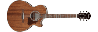 Guitarra electroacústica Ibanez AE245-NT Natural High Gloss — vista 1