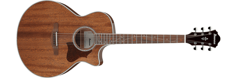 Guitarra electroacústica Ibanez AE245-NT Natural High Gloss — vista 1