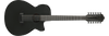 Guitarra Electroacústica Ibanez AEG1221-BOT — vista 1