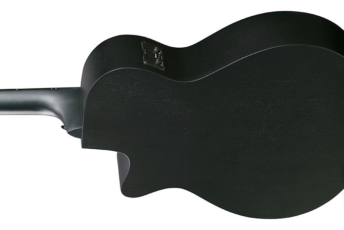 Guitarra Electroacústica Ibanez AEG1221-BOT — vista 3