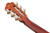 Guitarra Electroacustica Ibanez Aeg50n-bkh Nylon