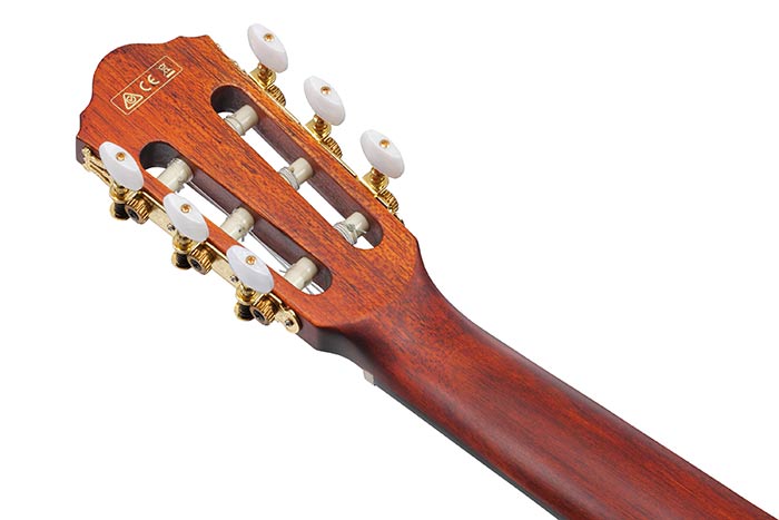Guitarra Electroacustica Ibanez Aeg50n-bkh Nylon