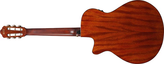 Guitarra Electroacustica Ibanez Aeg50n-bkh Nylon