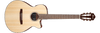Guitarra Electroacustica Ibanez Aeg50n-nt Nylon