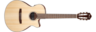 Guitarra Electroacustica Ibanez Aeg50n-nt Nylon