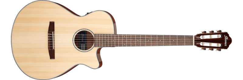Guitarra Electroacustica Ibanez Aeg50n-nt Nylon
