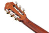 Guitarra Electroacustica Ibanez Aeg50n-nt Nylon