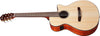 Guitarra Electroacustica Ibanez Aeg50n-nt Nylon