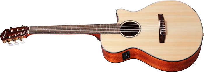 Guitarra Electroacustica Ibanez Aeg50n-nt Nylon