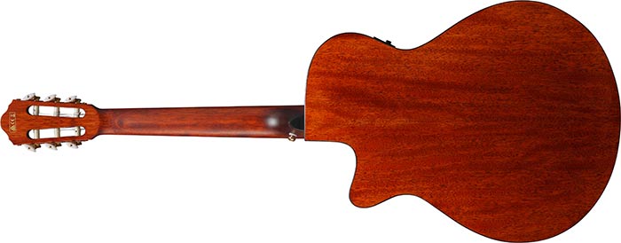 Guitarra Electroacustica Ibanez Aeg50n-nt Nylon