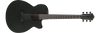 Guitarra Electroacústica Ibanez AEG621-BOT — vista 1
