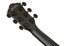 Guitarra Electroacústica Ibanez AEG621-BOT — vista 2