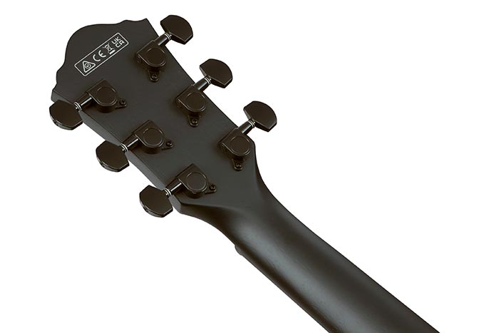 Guitarra Electroacústica Ibanez AEG621-BOT — vista 2