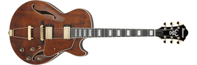 Guitarra eléctrica Ibanez AG95MG-DA Dark Amber — vista 1