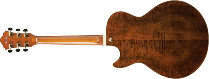 Guitarra eléctrica Ibanez AG95MG-DA Dark Amber — vista 5