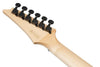 Guitarra Electroacústica Ibanez ALT50FA-BDB — vista 2