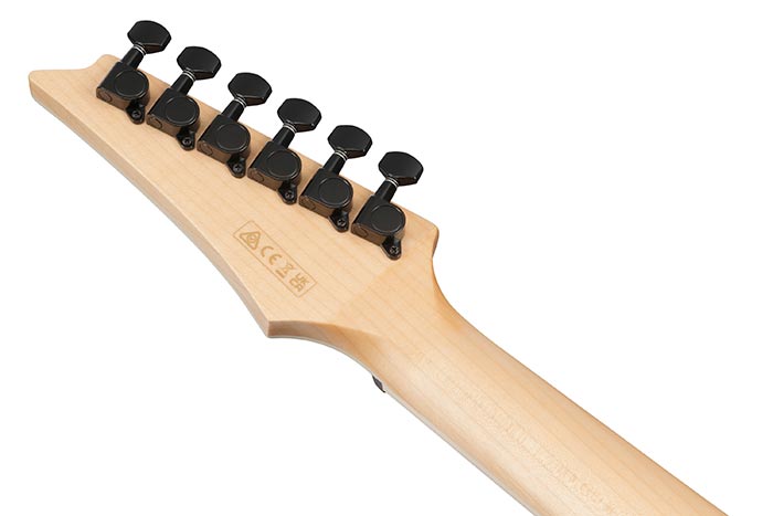 Guitarra Electroacústica Ibanez ALT50FA-TVT — vista 2