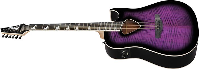 Guitarra Electroacústica Ibanez ALT50FA-TVT — vista 4