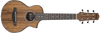 Guitarra Acustica Ibanez Ewp14wb-opn