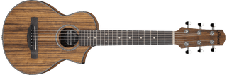 Guitarra Acustica Ibanez Ewp14wb-opn