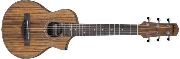 Guitarra acustica Ibanez EWP14WB-OPN