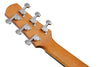 Guitarra Acustica Ibanez Ewp14wb-opn