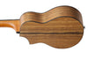 Guitarra Acustica Ibanez Ewp14wb-opn