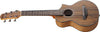 Guitarra Acustica Ibanez Ewp14wb-opn
