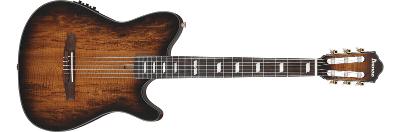 Guitarra Electroacústica Ibanez FRH20SMN-TCL — vista 1