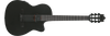 Guitarra Electroacústica Ibanez GA621-BOT — vista 1