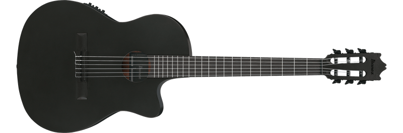 Guitarra Electroacústica Ibanez GA621-BOT — vista 1